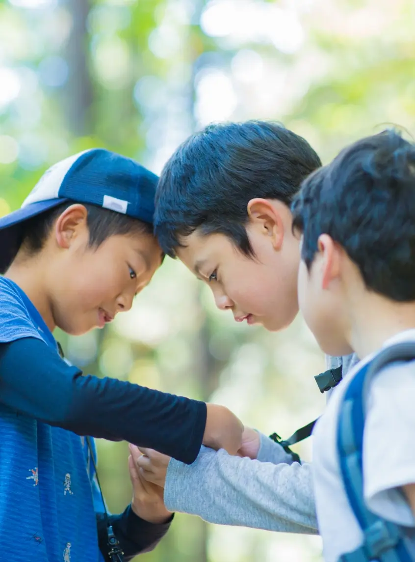 「森」がぶつかる交差点、丹波の地でここでしか出会えない体験を。