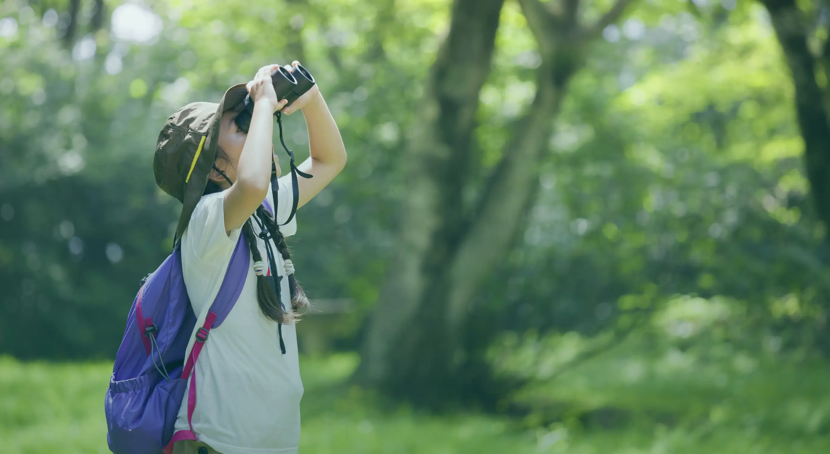 丹波とつながる、よくばりな森遊び